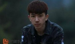 张迪爆料陈新颖视频全集,揭秘背后惊人内幕